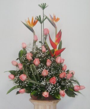 DISEÑO  PRETTY