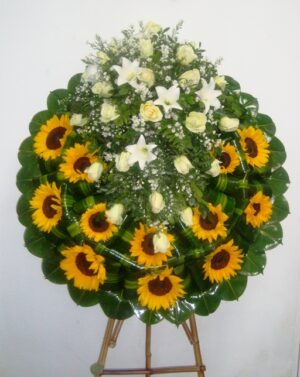 CORONA ESPERANZA