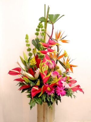 HOMENAJE PRIMAVERA