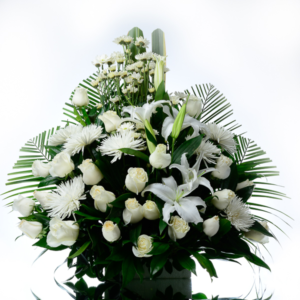 Ofrenda Condolencias