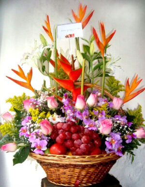CANASTA FRUTOS DEL BOSQUE