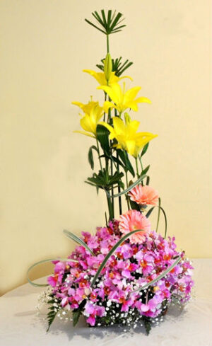 FANTASIA DE ORQUIDEAS
