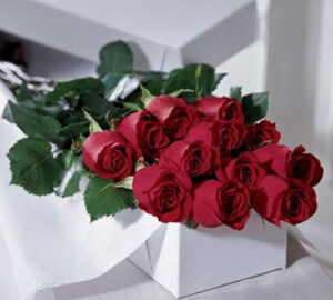 CAJA ROSAS DORIS