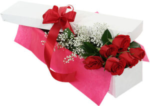 CAJA ROSAS DORIS x 12