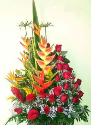ROSAS EN EL TROPICO